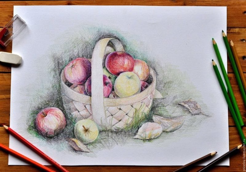 Рисунки карандашом для детей яблоки (48 фото) #53