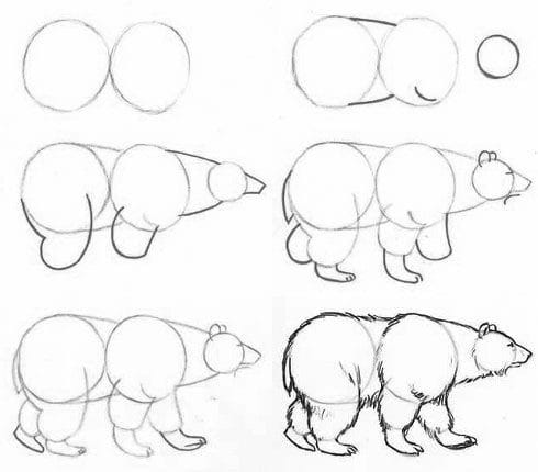 Рисунки медведя карандашом для детей (38 фото) #36
