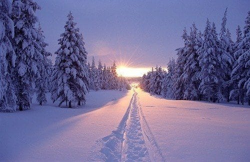 Картинки красивые фото зимы (35 фото) #7