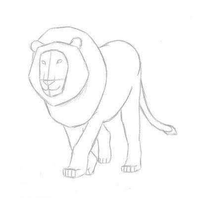 Рисунки карандашом для детей лев (30 фото) #3