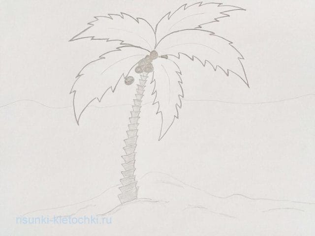 Рисунки карандашом пальма (30 фото) #3
