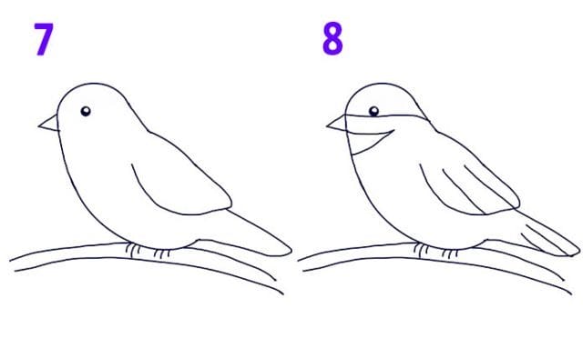 Рисунки птицы карандашом для детей (63 фото) #4