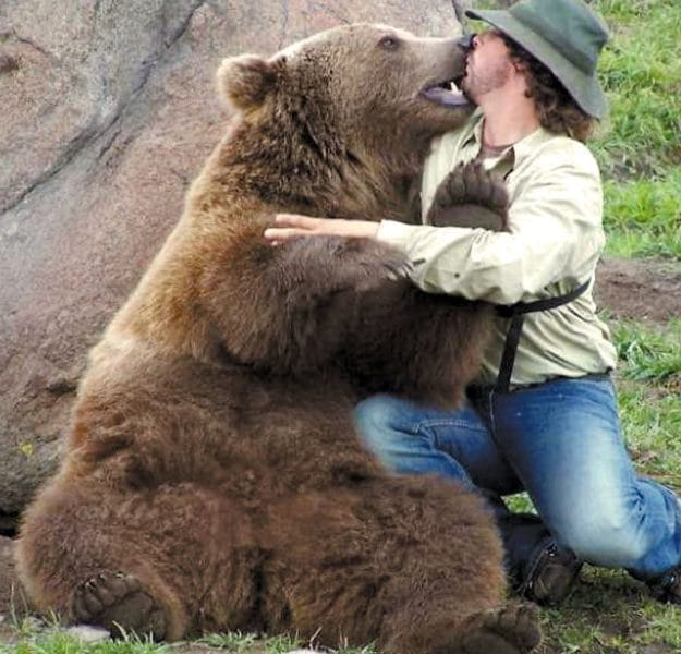 Смешные картинки с медведями (95 фото) #105