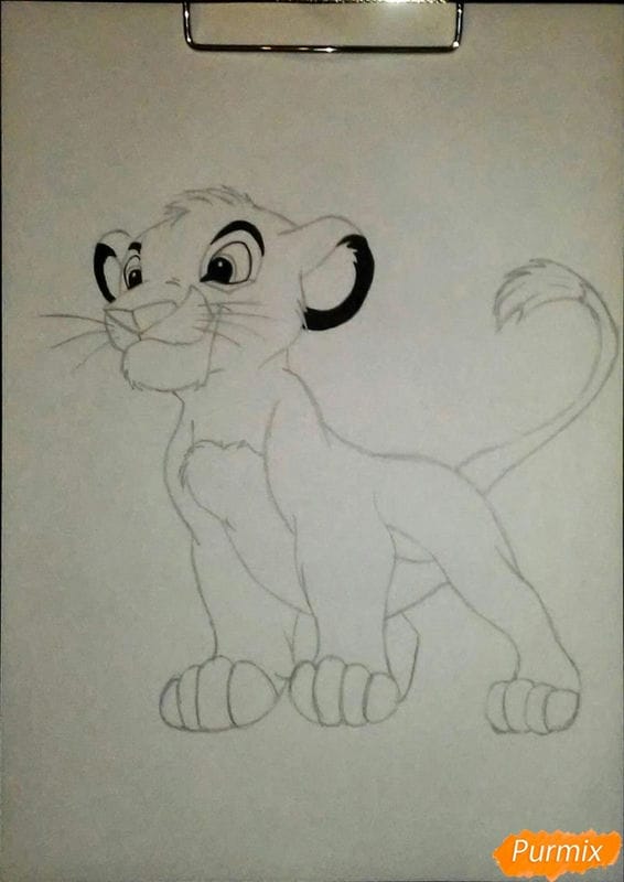 Рисунки карандашом для детей лев (30 фото) #64