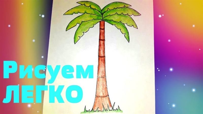 Рисунки карандашом пальма (30 фото) #79