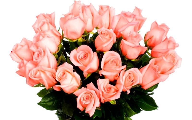Самые красивые фото цветов и букетов роз (35 фото) #52