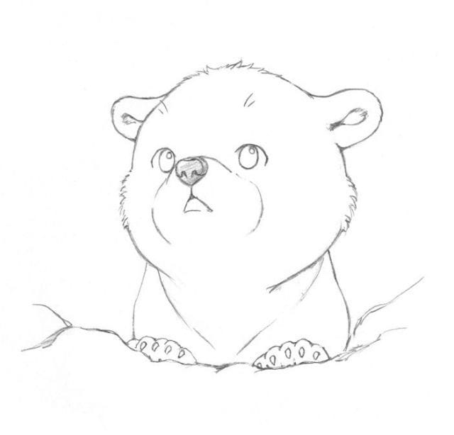 Рисунки медведя карандашом для детей (38 фото) #37