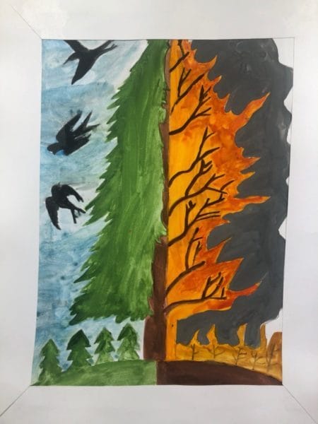 Картинки «Берегите лес от пожара!» (29 фото) #70