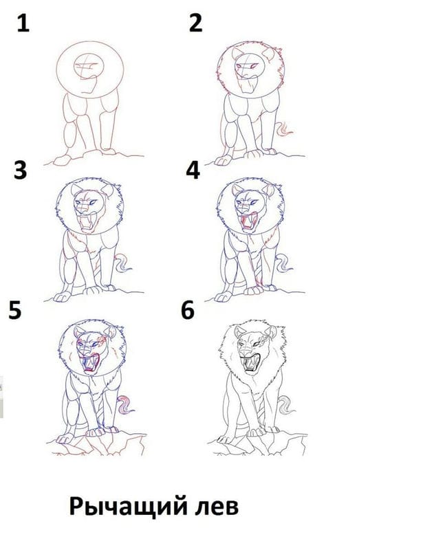 Рисунки карандашом для детей лев (30 фото) #65