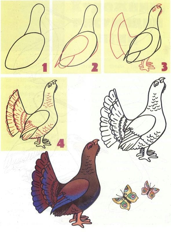 Рисунки птицы карандашом для детей (63 фото) #35