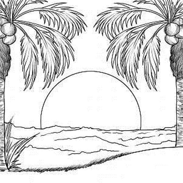 Рисунки карандашом пальма (30 фото) #31