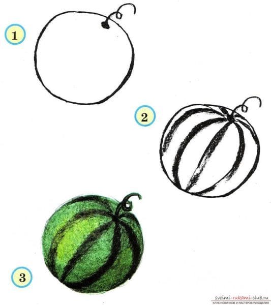 Рисунки овощи карандашом для детей (31 фото) #74