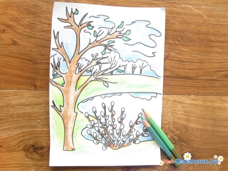 Рисунки леса карандашом для детей (34 фото) #74
