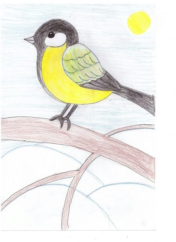 Рисунки птицы карандашом для детей (63 фото) #38