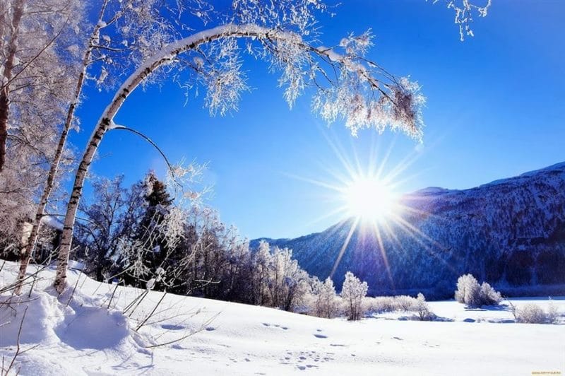Картинки красивые фото зимы (35 фото) #21