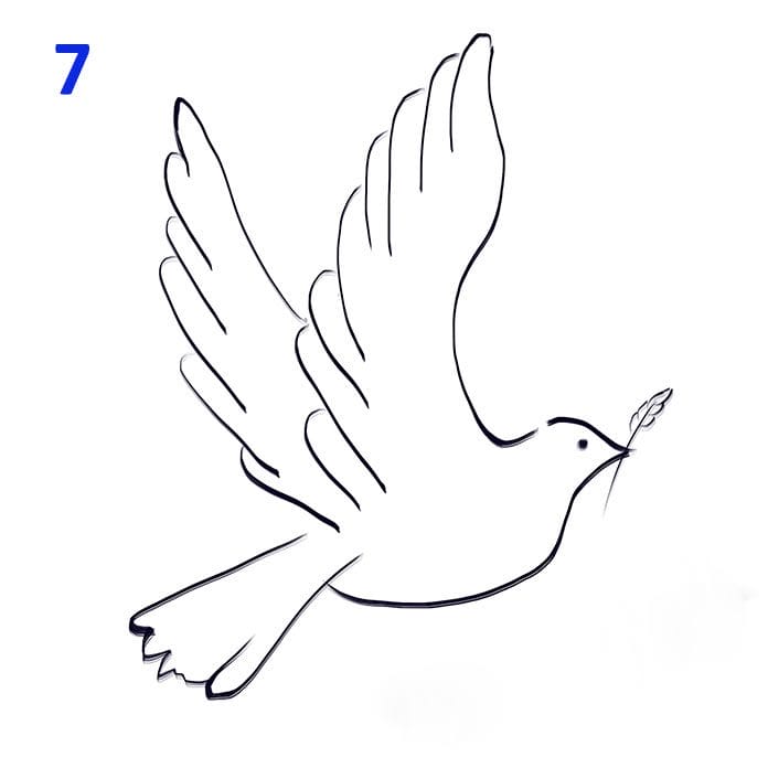 Рисунки птицы карандашом для детей (63 фото) #41