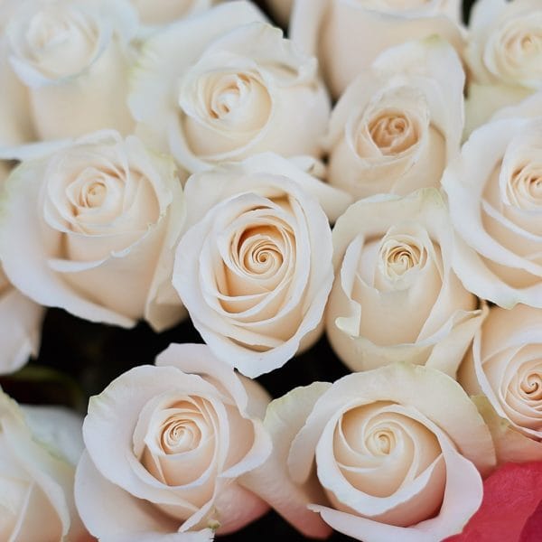 Самые красивые фото цветов и букетов роз (35 фото) #47