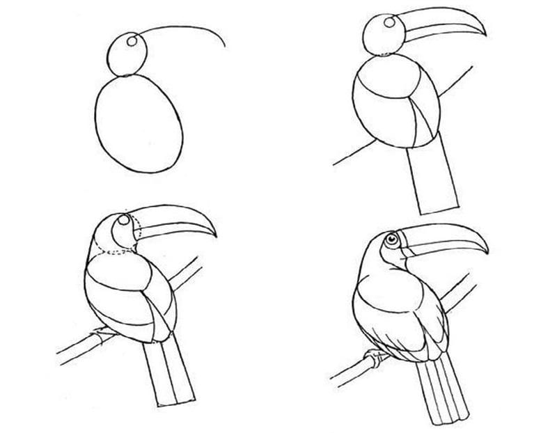 Рисунки птицы карандашом для детей (63 фото) #42