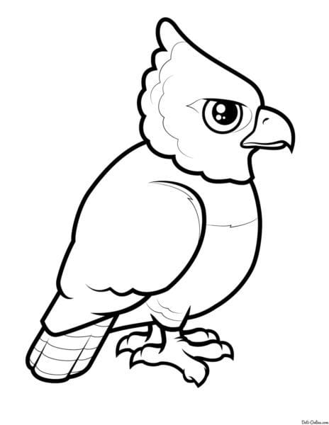 Рисунки для срисовки попугай (29 фото) #72