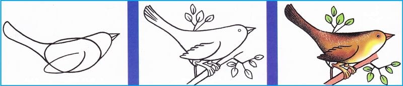 Рисунки птицы карандашом для детей (63 фото) #101