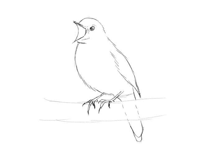 Рисунки птицы карандашом для детей (63 фото) #43