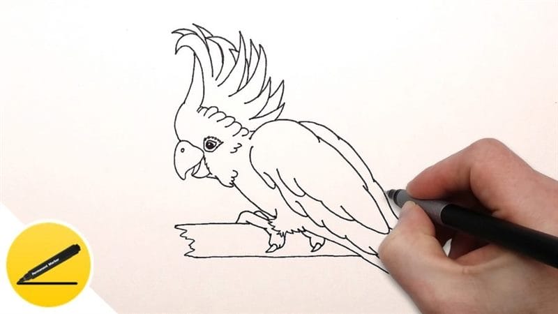 Рисунки для срисовки попугай (29 фото) #73