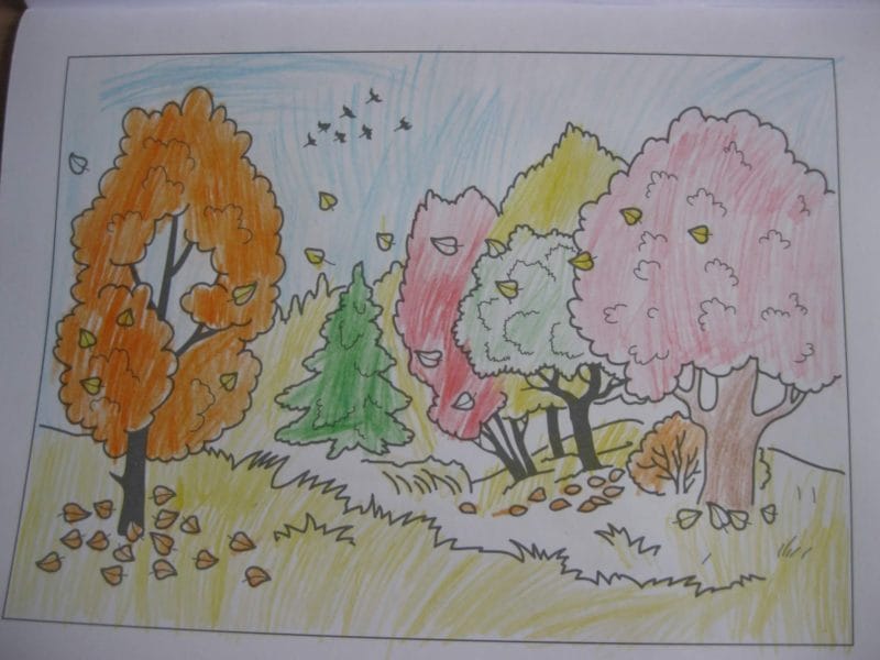 Рисунки леса карандашом для детей (34 фото) #79