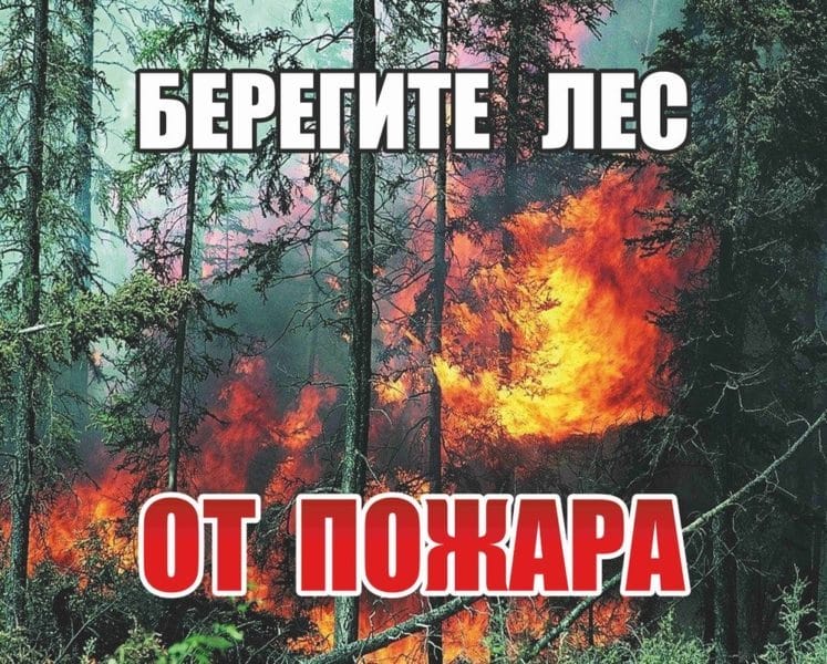 Картинки «Берегите лес от пожара!» (29 фото) #78