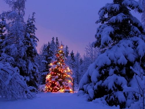Картинки красивые фото зимы (35 фото) #13