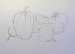 Рисунки овощи карандашом для детей (31 фото) #5