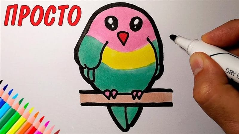 Рисунки для срисовки попугай (29 фото) #40