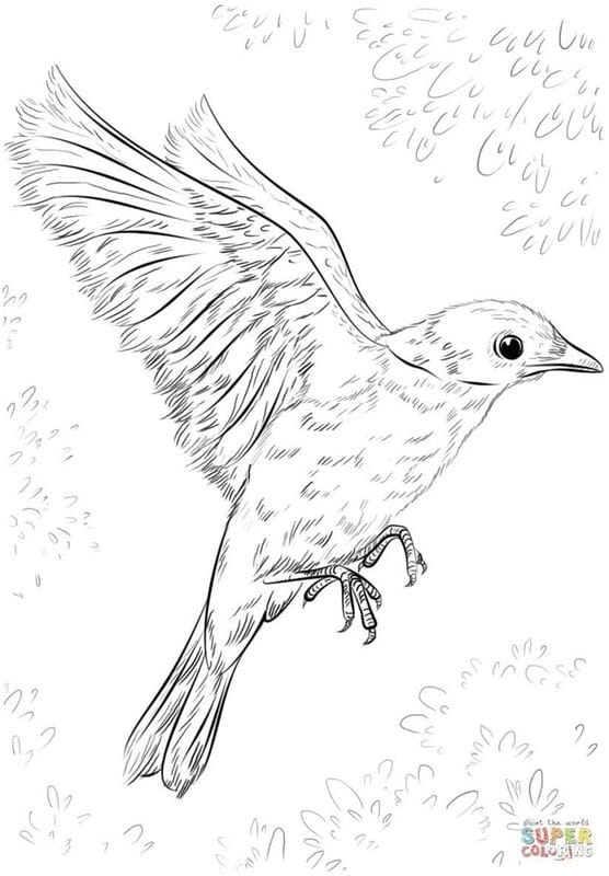 Рисунки птицы карандашом для детей (63 фото) #71