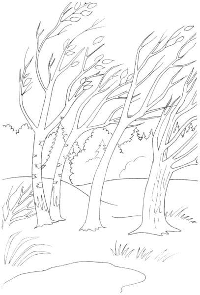Рисунки леса карандашом для детей (34 фото) #46