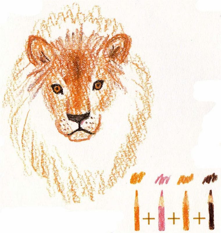 Рисунки карандашом для детей лев (30 фото) #73
