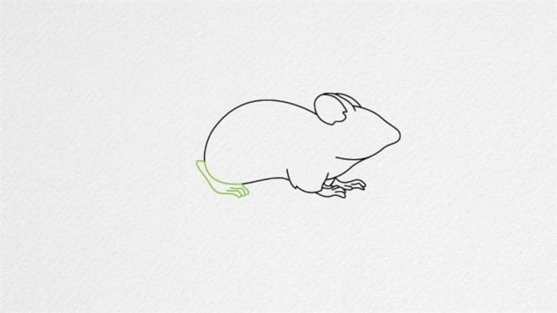 Рисунки мышки карандашом для детей (30 фото) #76