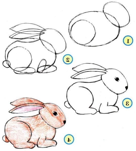 Самые легкие рисунки для срисовки для детей 5 лет (30 фото) #75