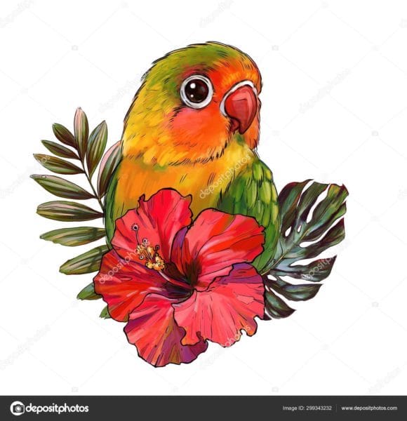 Рисунки для срисовки попугай (29 фото) #77