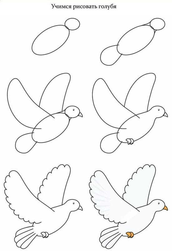 Рисунки птицы карандашом для детей (63 фото) #49