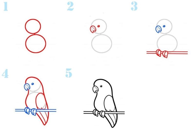 Рисунки для срисовки попугай (29 фото) #78