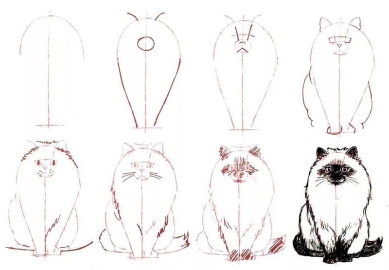 Рисунки кошки карандашом для детей (33 фото) #81
