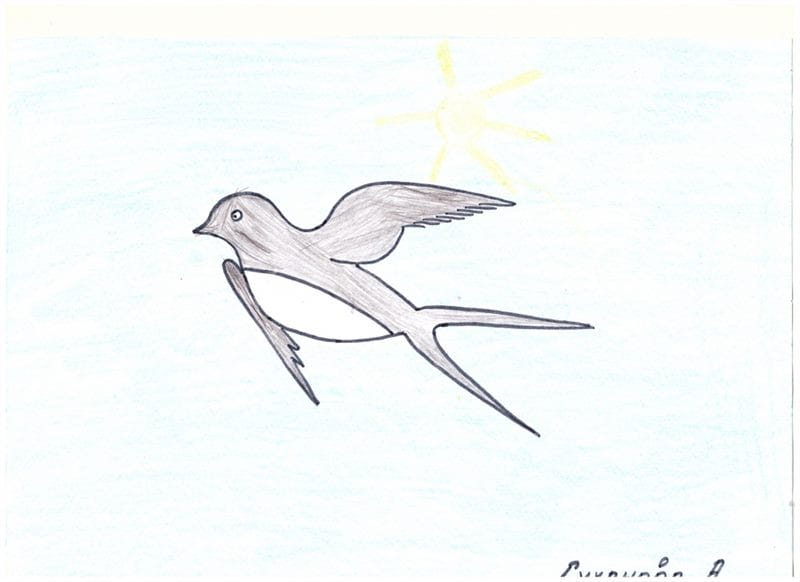 Рисунки птицы карандашом для детей (63 фото) #51
