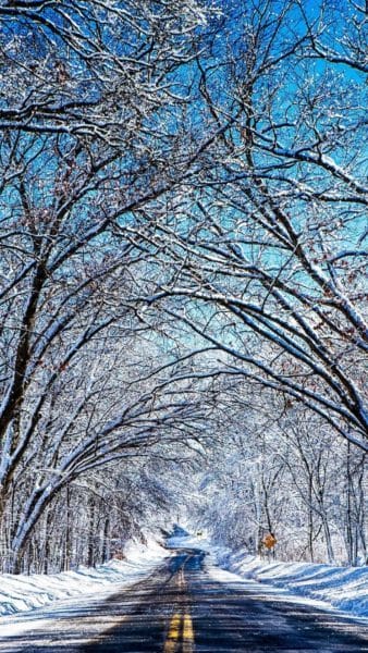 Картинки красивые фото зимы (35 фото) #79