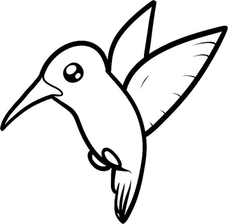 Рисунки птицы карандашом для детей (63 фото) #53
