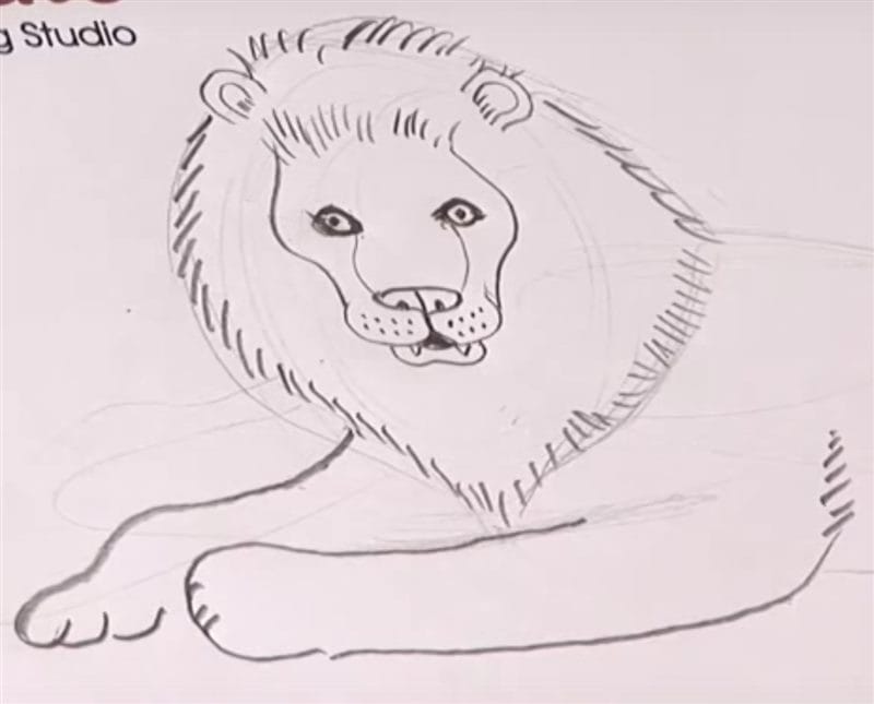 Рисунки карандашом для детей лев (30 фото) #77