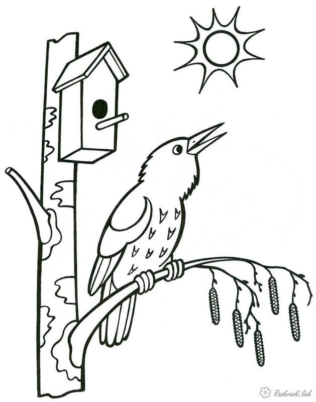 Рисунки птицы карандашом для детей (63 фото) #109