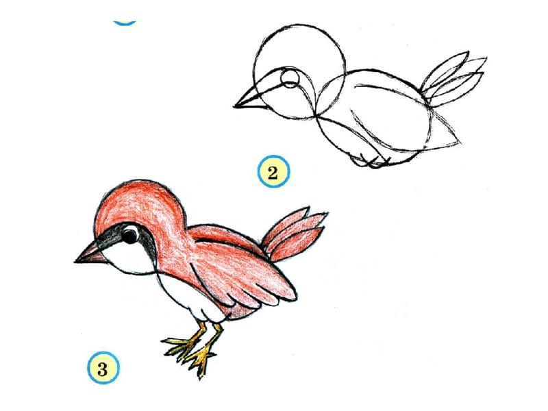 Рисунки птицы карандашом для детей (63 фото) #55