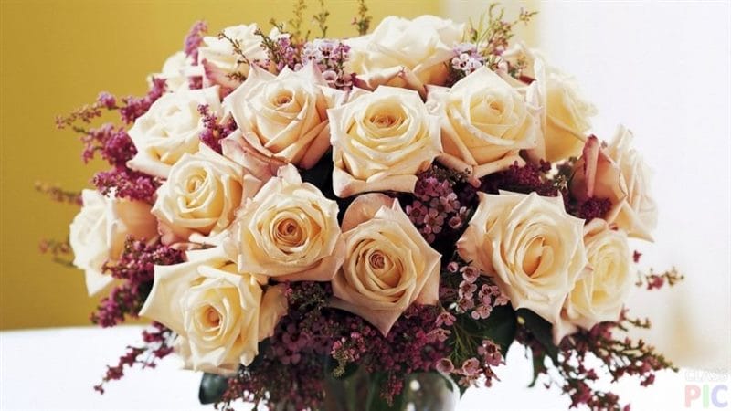 Самые красивые фото цветов и букетов роз (35 фото) #39