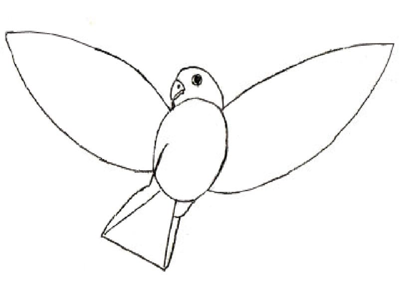 Рисунки птицы карандашом для детей (63 фото) #56
