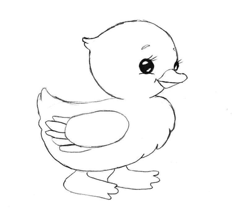 Рисунки птицы карандашом для детей (63 фото) #57
