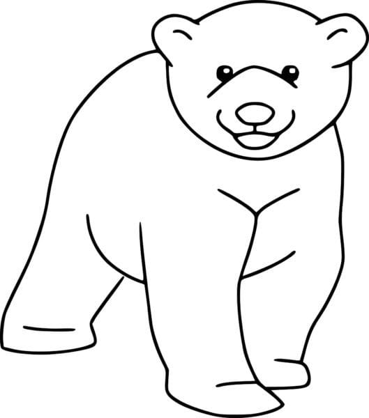 Рисунки медведя карандашом для детей (38 фото) #41